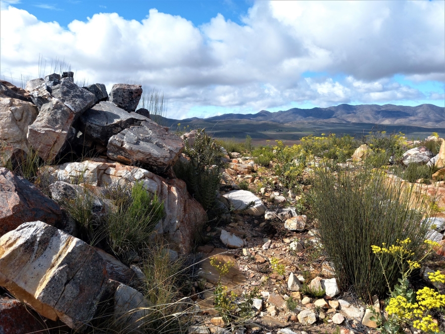 Commercial Property for Sale in Uniondale Rural Western Cape